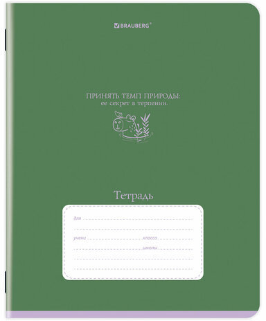 Тетрадь 24 л. BRAUBERG клетка, обложка картон, PHRASES, 107304