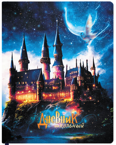 Дневник 1-11 класс 48 л., кожзам (твердая с поролоном), печать, цветной блок, BRAUBERG, "Замок", 106953