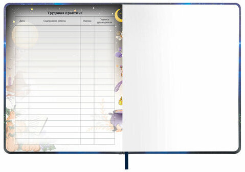 Дневник 1-11 класс 48 л., кожзам (твердая с поролоном), печать, цветной блок, BRAUBERG, "Замок", 106953