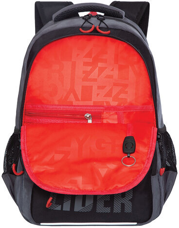 Рюкзак GRIZZLY школьный, анатомическая спинка, 2 отделения, для мальчиков, "LIDER", 39х28х19 см, RB-254-2/2