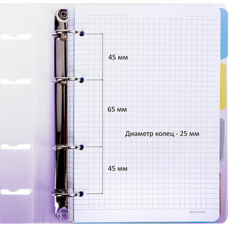 Тетрадь на кольцах А5 175х220 мм, 120 л., пластик, с разделителями, BRAUBERG, Фиолетовый, 404627