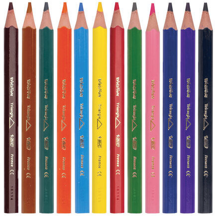 Карандаши цветные утолщенные BIC "Kids Evolution Triangle", 12 цветов, пластиковые, трехгранные, картонная упаковка, 8297356