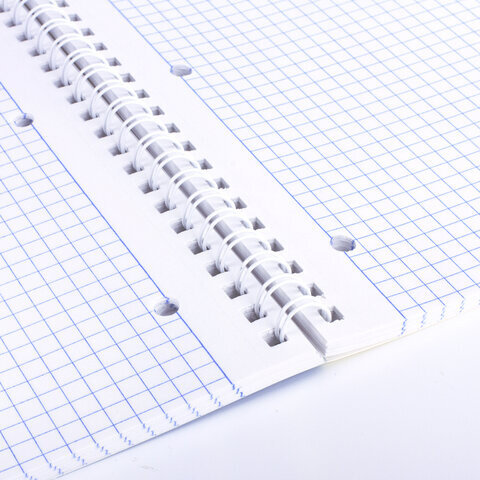 Тетрадь А4, 96 л., BRAUBERG, гребень, клетка, обложка картон, КРАСИВЫЕ ЦВЕТЫ, 403072