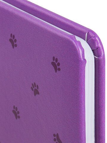 Дневник 1-4 класс 48 л., кожзам (твердая с поролоном), печать, наклейки, ЮНЛАНДИЯ, "Лапки", 106218