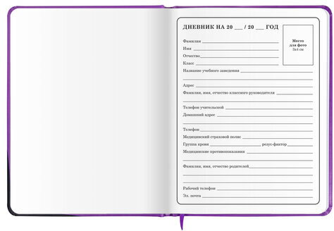 Дневник 1-4 класс 48 л., кожзам (твердая с поролоном), печать, наклейки, ЮНЛАНДИЯ, "Лапки", 106218
