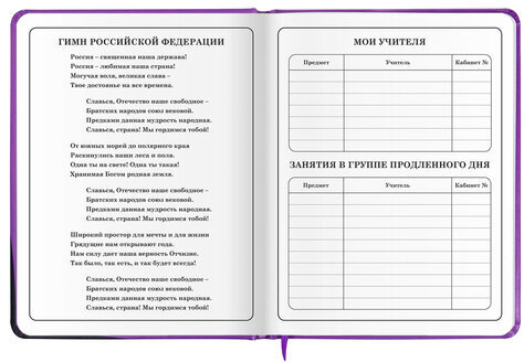 Дневник 1-4 класс 48 л., кожзам (твердая с поролоном), печать, наклейки, ЮНЛАНДИЯ, "Лапки", 106218