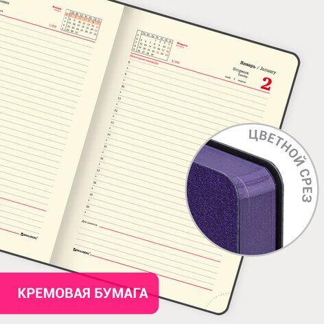 Ежедневник датированный 2024 А5 138x213 мм BRAUBERG "Stylish", под кожу, гибкий, фиолетовый, 114892