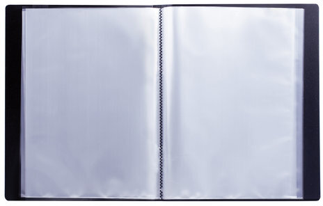 Папка 60 вкладышей BRAUBERG стандарт, черная, 0,8 мм, 221606