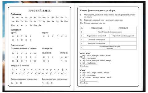 Дневник 1-4 класс 48 л., твердый, BRAUBERG, глянцевая ламинация, с подсказом, "Котик", 107156