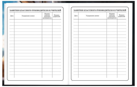 Дневник 1-4 класс 48 л., твердый, BRAUBERG, глянцевая ламинация, с подсказом, "Котик", 107156