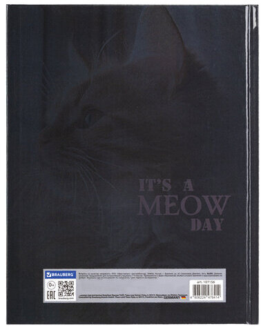 Дневник 1-4 класс 48 л., твердый, BRAUBERG, глянцевая ламинация, с подсказом, "Котик", 107156