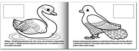 Книжка-раскраска А5, 4 л., HATBER с наклейками, Мои первые уроки, "Птицы", 4Р5н 05826, R002705