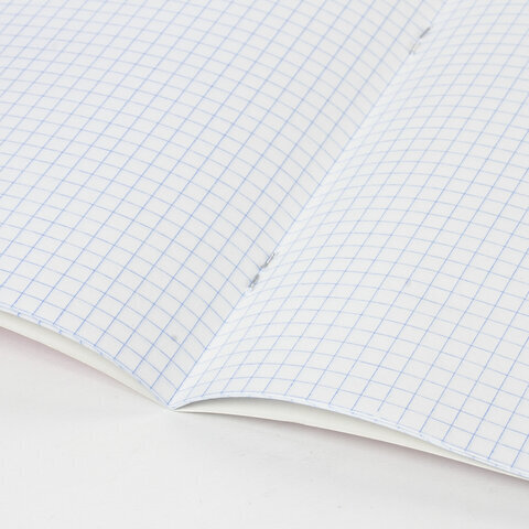 Тетрадь BRAUBERG "EXTRA" 18 л., клетка, плотная бумага 80 г/м2, обложка картон, 105708