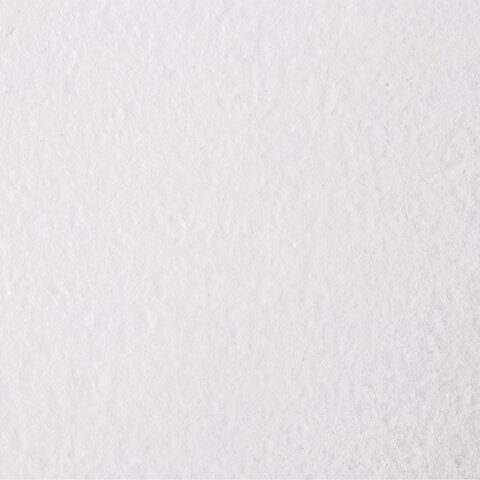 Бумага для акварели А4, 210x297 мм, КОМПЛЕКТ 100 листов, 200 г/м2, ГОЗНАК СПб, BRAUBERG ART, 880259