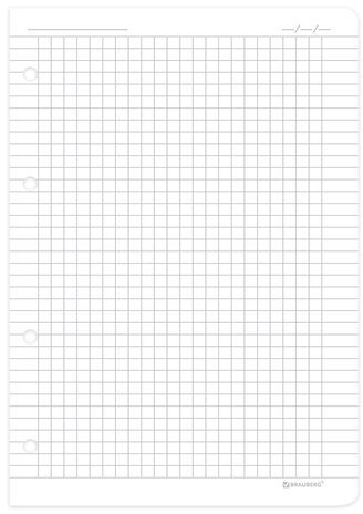 Сменный блок для тетрадей на 4 кольцах А5 120 л., BRAUBERG, ПОВЫШЕННОЙ ПЛОТНОСТИ, белый, 403638