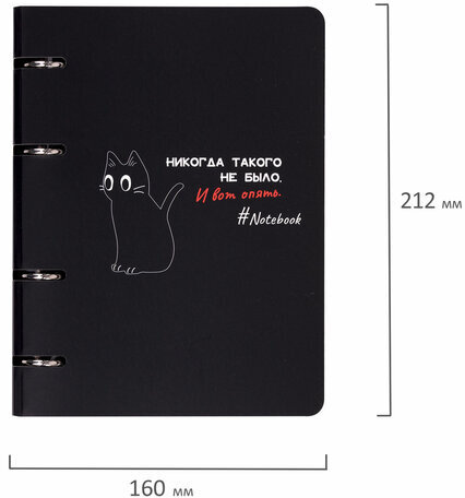 Тетрадь на кольцах А5 160х212 мм, 120 листов, картон, матовая ламинация, клетка, BRAUBERG, "Просто Кот", 404723