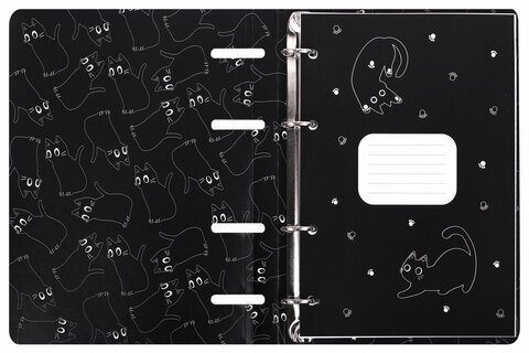 Тетрадь на кольцах А5 160х212 мм, 120 листов, картон, матовая ламинация, клетка, BRAUBERG, "Просто Кот", 404723