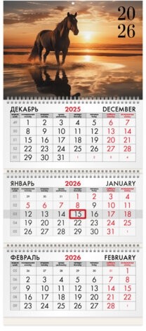 Календарь квартальный на 2026 г., 3 блока, 3 гребня, бегунок, офсет, BRAUBERG, "Символ года 4", 116768