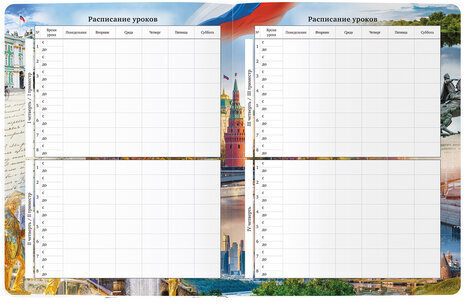 Дневник 1-11 класс 40 л., твердый, BRAUBERG, ламинация, цветная печать, "РОССИЙСКОГО ШКОЛЬНИКА-4", 106052
