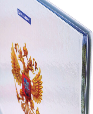 Дневник 1-11 класс 40 л., твердый, BRAUBERG, ламинация, цветная печать, "РОССИЙСКОГО ШКОЛЬНИКА-4", 106052