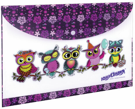 Папка-конверт с кнопкой ЮНЛАНДИЯ "Умные совы", А4, 160 мкм, до 100 листов, цветная печать, 228047