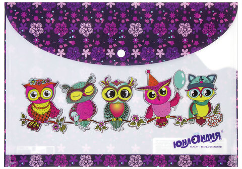 Папка-конверт с кнопкой ЮНЛАНДИЯ "Умные совы", А4, 160 мкм, до 100 листов, цветная печать, 228047