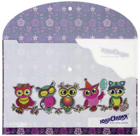 Папка-конверт с кнопкой ЮНЛАНДИЯ "Умные совы", А4, 160 мкм, до 100 листов, цветная печать, 228047