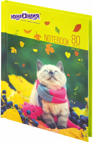 Блокнот МАЛЫЙ ФОРМАТ 110х147 мм А6 ЮНЛАНДИЯ, 80 л., твердый, клетка, "Котик", 111621