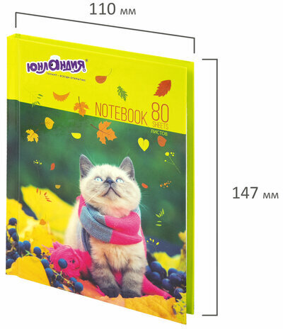 Блокнот МАЛЫЙ ФОРМАТ 110х147 мм А6 ЮНЛАНДИЯ, 80 л., твердый, клетка, "Котик", 111621