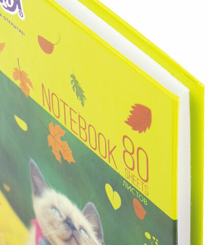 Блокнот МАЛЫЙ ФОРМАТ 110х147 мм А6 ЮНЛАНДИЯ, 80 л., твердый, клетка, "Котик", 111621