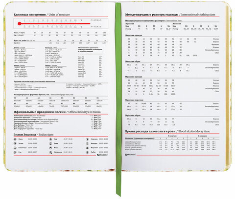 Ежедневник недатированный B6 (127х186 мм), BRAUBERG VISTA, под кожу, твердый, 136 л., "Avocado", 112112