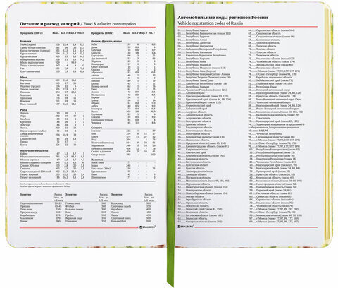 Ежедневник недатированный B6 (127х186 мм), BRAUBERG VISTA, под кожу, твердый, 136 л., "Avocado", 112112