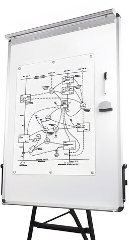 Доска-флипчарт магнитно-маркерная 70х100 см, тренога, ГАРАНТИЯ 10 ЛЕТ, BRAUBERG, 231720