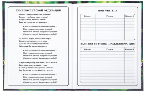 Дневник 1-4 класс 48 л., твердый, BRAUBERG, блестки, с подсказом, "Фея", 106840