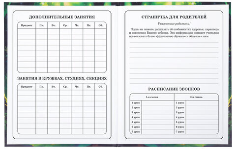 Дневник 1-4 класс 48 л., твердый, BRAUBERG, блестки, с подсказом, "Фея", 106840