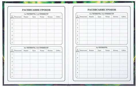 Дневник 1-4 класс 48 л., твердый, BRAUBERG, блестки, с подсказом, "Фея", 106840