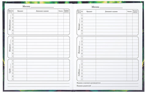 Дневник 1-4 класс 48 л., твердый, BRAUBERG, блестки, с подсказом, "Фея", 106840