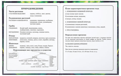 Дневник 1-4 класс 48 л., твердый, BRAUBERG, блестки, с подсказом, "Фея", 106840