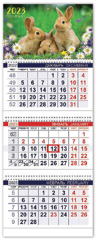 Календарь квартальный с бегунком 2023 г., 3 блока, 3 гребня, ОФИС, "Год Кролика", HATBER, 3Кв3гр3_27151