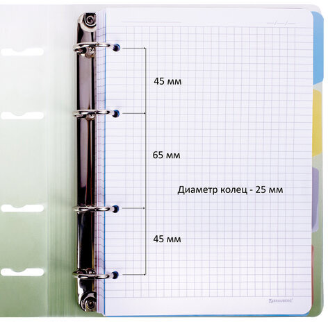 Тетрадь на кольцах А5 175х220 мм, 120 л., пластик, с разделителями, BRAUBERG, Зеленый, 404629
