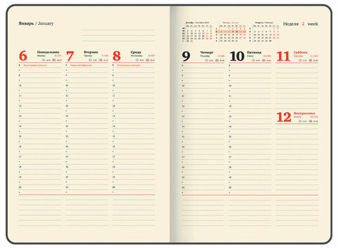 Еженедельник датированный 2025, 210х297 мм, А4, BRAUBERG "Iguana", под кожу, черный, 115947