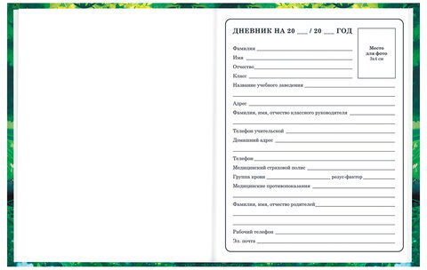 Дневник 1-4 класс 48 л., твердый, BRAUBERG, глянцевая ламинация, с подсказом, "Панда", 107158.