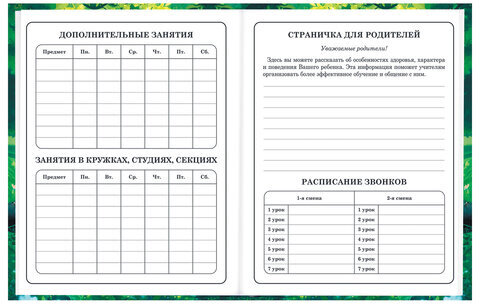 Дневник 1-4 класс 48 л., твердый, BRAUBERG, глянцевая ламинация, с подсказом, "Панда", 107158.