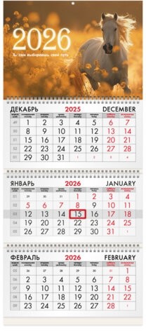 Календарь квартальный на 2026 г., 3 блока, 3 гребня, бегунок, офсет, BRAUBERG, "Символ года 5", 116769