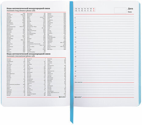 Ежедневник недатированный B6 (127х186 мм), BRAUBERG VISTA, под кожу, гибкий, 136 л., "Feathers", 112113