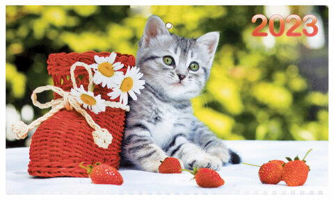 Календарь квартальный с бегунком 2023 г., 3 блока, 3 гребня, ОФИС, "Котенок", HATBER, 3Кв3гр3_11865