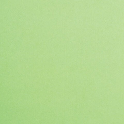 Картон цветной А4 ТОНИРОВАННЫЙ В МАССЕ, 50 листов, ЗЕЛЕНЫЙ, 220 г/м2, BRAUBERG, 210х297 мм, 128984