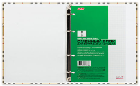 Тетрадь на кольцах А5 (170х220 мм), 240 л., обложка ламинированный картон, клетка, HATBER, "Шотландка", 240ТК5B1, T158494