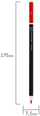 Карандаши художественные цветные BRAUBERG ART CLASSIC, 36 цветов, МЯГКИЙ грифель 3,3 мм, 181538