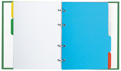 Тетрадь на кольцах А5 175х215 мм, 240 л., твердый картон, с разделителями, BRAUBERG, "Авокадо", 404098